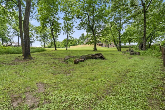 4936 S Butterfield Pl, Brookline, MO 65619 - view of grassy yard