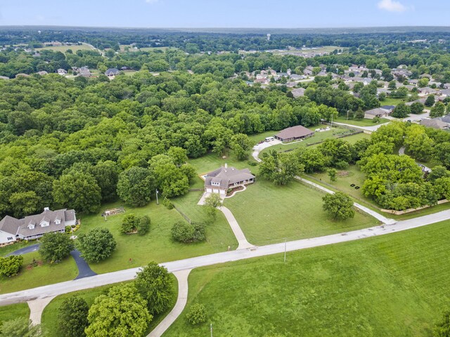 4936 S Butterfield Pl, Brookline, MO 65619 - bird's eye view