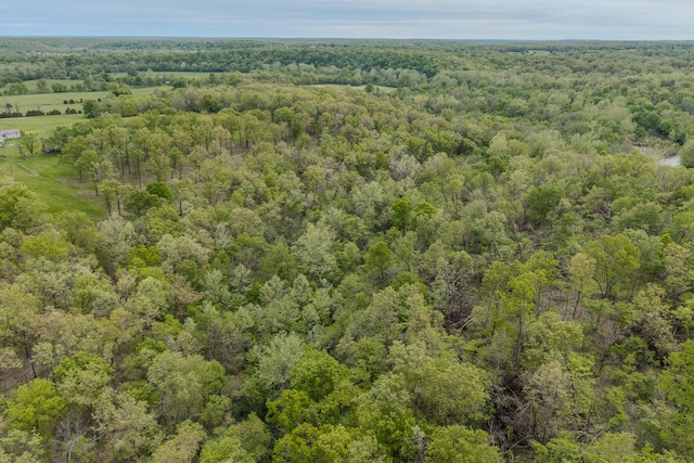 000 Indian Creek Loop, Buffalo, MO 65622