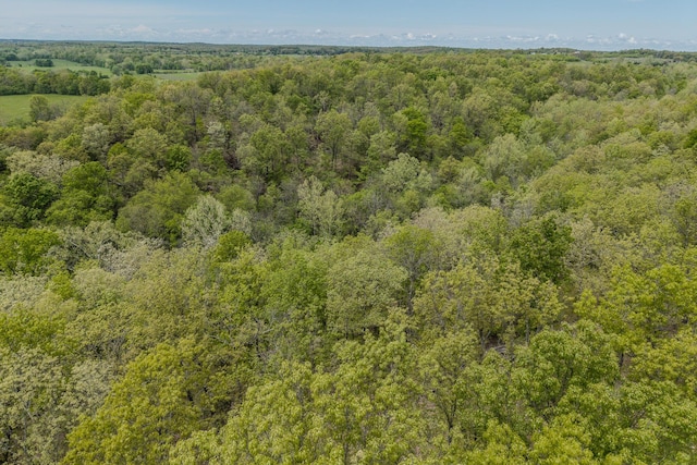 000 Indian Creek Loop, Buffalo, MO 65622