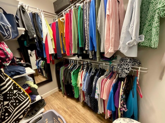 123 River Point Rd Unit 33, Hollister, MO 65672 - walk in closet with wood finished floors
