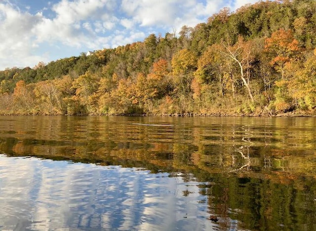 123 River Point Rd Unit 33, Hollister, MO 65672 - water view with a heavily wooded area