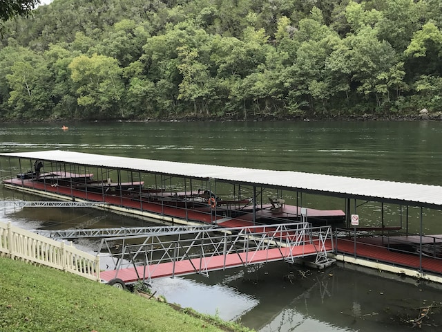 123 River Point Rd Unit 33, Hollister, MO 65672 - dock area with a water view and a view of trees