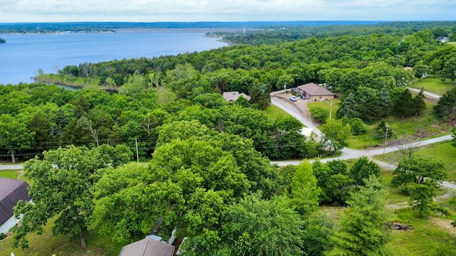 21650 Kings Loop, Hermitage, MO 65668 - bird's eye view of a heavily wooded area and a large body of water