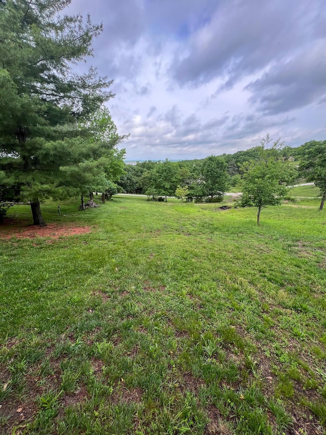 21650 Kings Loop, Hermitage, MO 65668 - view of green lawn featuring a rural view