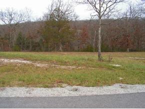 LOT125 Beechwood Dr, Branson West, MO 65737