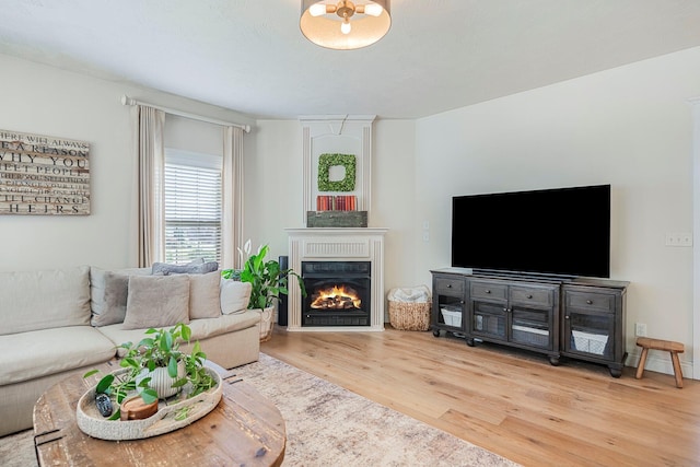 1086 S Joshua Ave, Republic, MO 65738 - living room featuring wood finished floors and a warm lit fireplace
