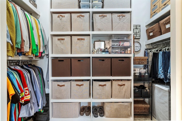 1086 S Joshua Ave, Republic, MO 65738 - view of walk in closet