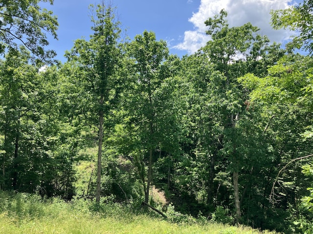 000 State Highway U, Ava, MO 65608