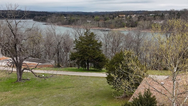 27324 Farm Rd Unit 1255, Golden, MO 65658 - photo 9