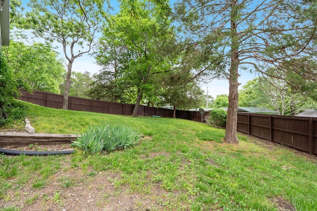 96 Samson St, Cape Fair, MO 65624 - view of yard