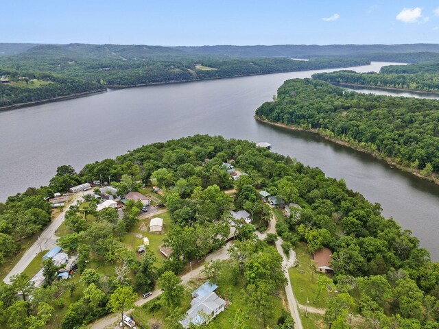96 Samson St, Cape Fair, MO 65624 - aerial view of property and surrounding area with a large body of water and a forest