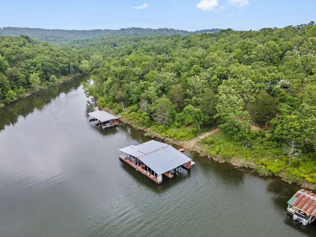 96 Samson St, Cape Fair, MO 65624 - bird's eye view of a heavily wooded area and a nearby body of water