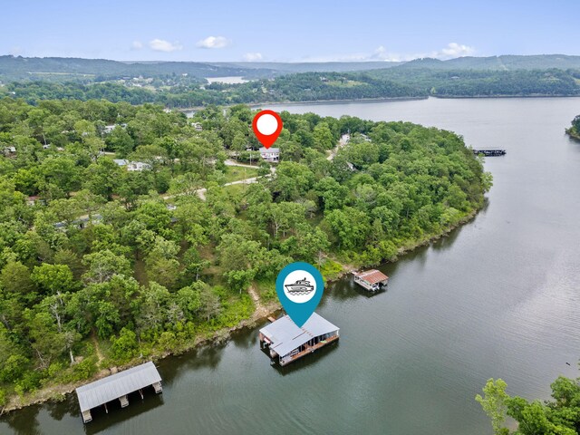 96 Samson St, Cape Fair, MO 65624 - drone / aerial view of a large body of water and a heavily wooded area