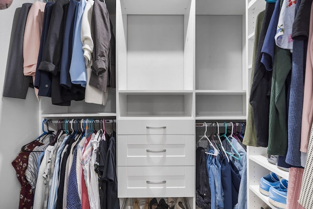 1514 W Swan St, Springfield, MO 65807 - view of spacious closet