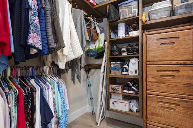 1503 W Ragweed Ct, Ozark, MO 65721 - walk in closet with wood finished floors