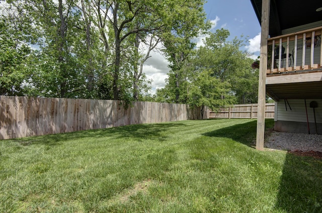 1503 W Ragweed Ct, Ozark, MO 65721 - view of yard