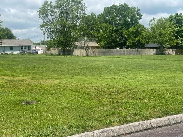 607 Robin Rd, Mountain Grove, MO 65711 - view of yard