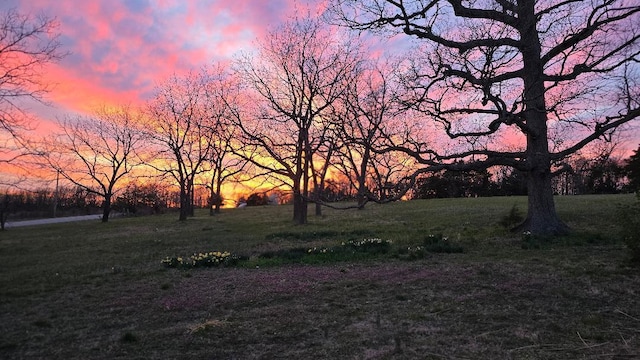 898 Short State Highway Y, Marshfield, MO 65706 - yard at dusk with a lawn