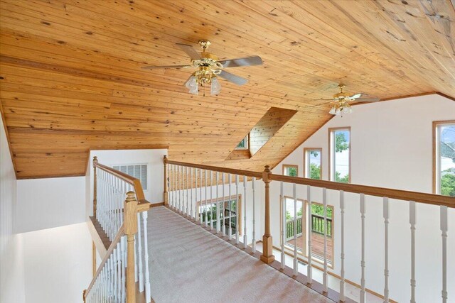 196 Cedarberry Dr, Blue Eye, MO 65611 - photo 20