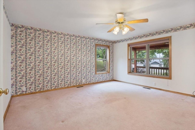 196 Cedarberry Dr, Blue Eye, MO 65611 - photo 14