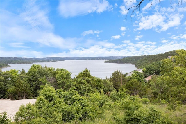 196 Cedarberry Dr, Blue Eye, MO 65611 - photo 4