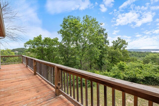 196 Cedarberry Dr, Blue Eye, MO 65611 - photo 3