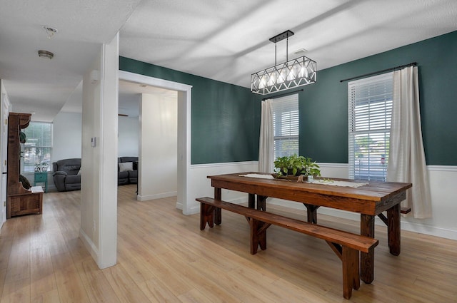 505 Thunderbird Dr, Rogersville, MO 65742 - dining area featuring a wainscoted wall and light wood finished floors