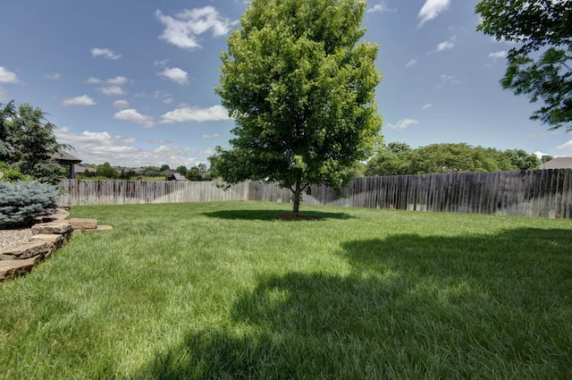 992 N Cedar Ridge Ave, Springfield, MO 65802 - view of yard