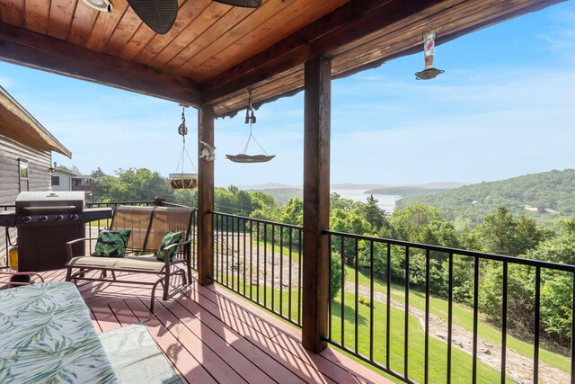 10 Baywood Cir, Branson West, MO 65737 - photo 13
