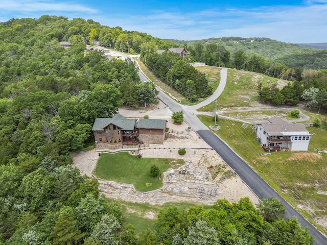 10 Baywood Cir, Branson West, MO 65737 - photo 39