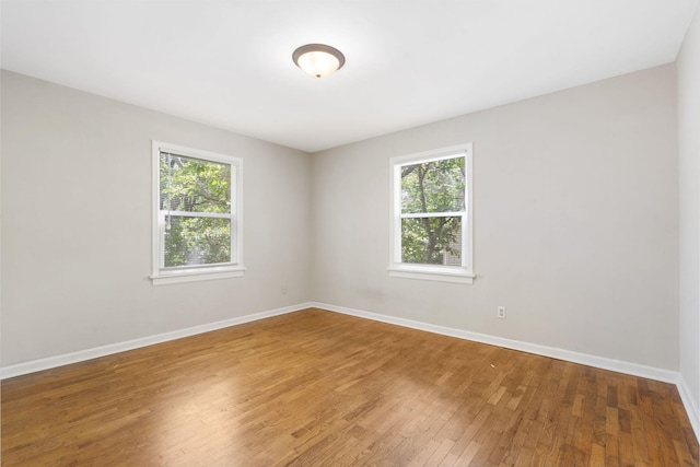 1116 W University St, Springfield, MO 65807 - empty room featuring plenty of natural light, hardwood / wood-style flooring, and baseboards