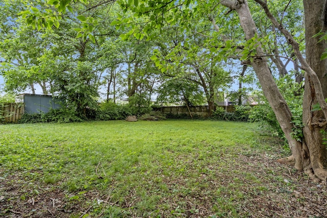 1116 W University St, Springfield, MO 65807 - view of yard