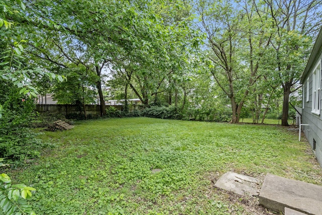 1116 W University St, Springfield, MO 65807 - view of yard