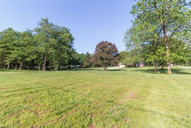 1318 S Farm Rd Unit 205, Springfield, MO 65809 - view of green lawn