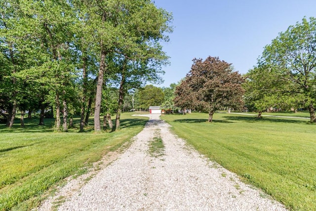 1318 S Farm Rd Unit 205, Springfield, MO 65809 - view of dirt / gravel driveway
