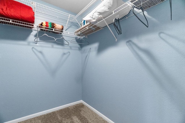 175 W Rockford Dr Unit 6, Branson, MO 65616 - spacious closet featuring carpet floors