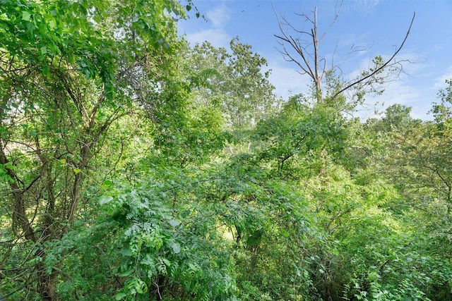 175 W Rockford Dr Unit 6, Branson, MO 65616 - view of tree filled area