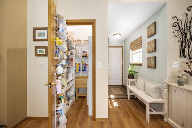 1362 Meadowview Ln, Diamond, MO 64840 - hallway with wood finished floors and baseboards