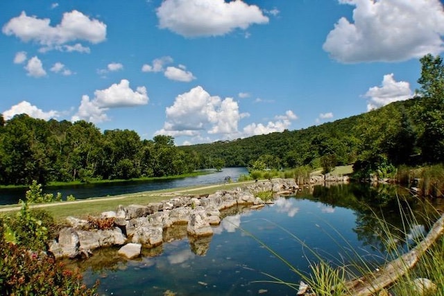 403 Lookout Flts, Branson, MO 65616 - water view featuring a forest
