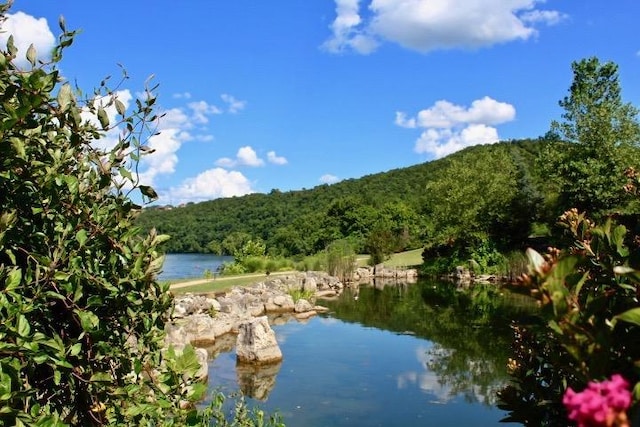 403 Lookout Flts, Branson, MO 65616 - water view with a heavily wooded area