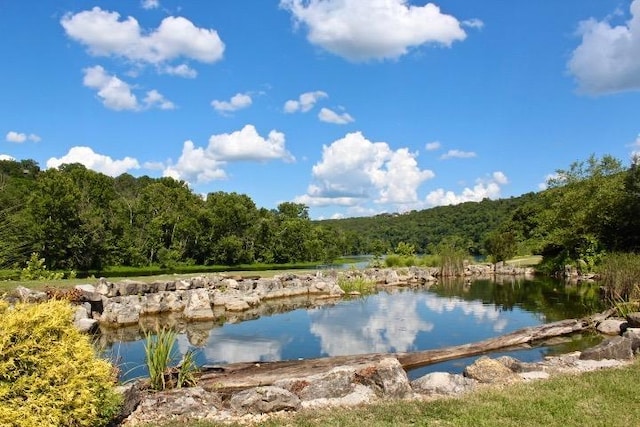 403 Lookout Flts, Branson, MO 65616 - water view featuring a forest