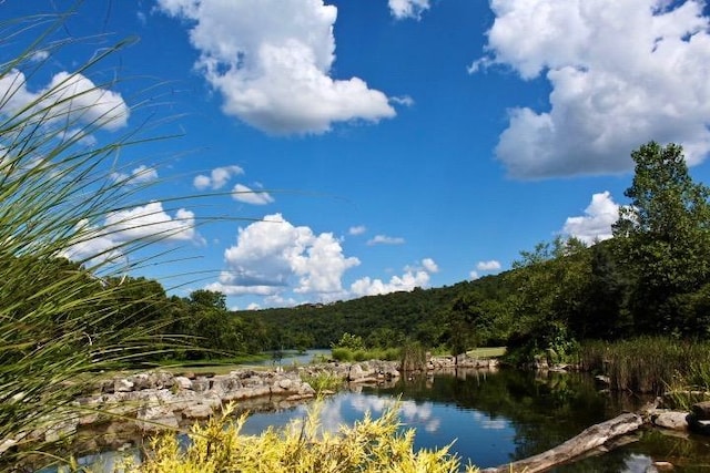 403 Lookout Flts, Branson, MO 65616 - water view with a forest