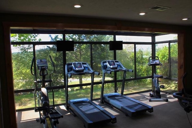 403 Lookout Flts, Branson, MO 65616 - gym featuring carpet flooring, healthy amount of natural light, and recessed lighting