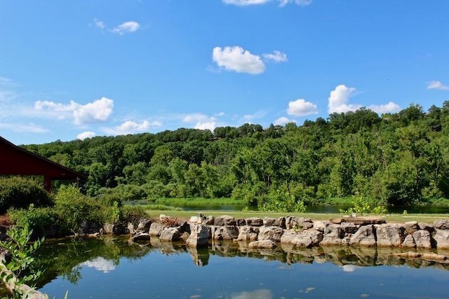 403 Lookout Flts, Branson, MO 65616 - water view with a heavily wooded area