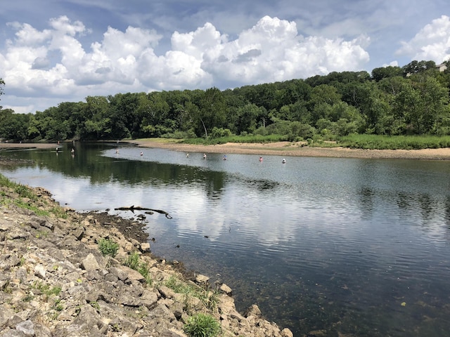 403 Lookout Flts, Branson, MO 65616 - water view featuring a forest