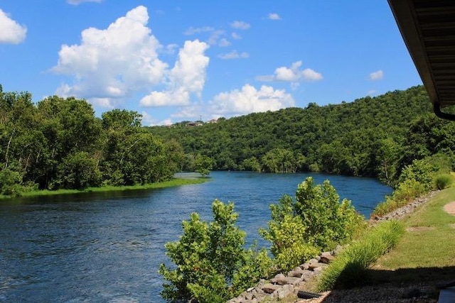 403 Lookout Flts, Branson, MO 65616 - water view featuring a forest