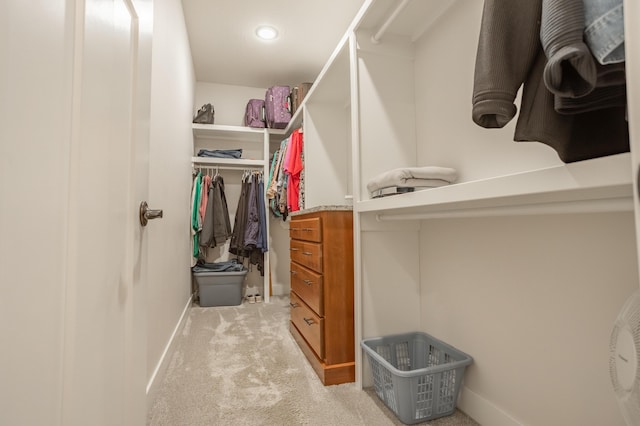4738 N Florence Ave, Ozark, MO 65721 - walk in closet with light carpet