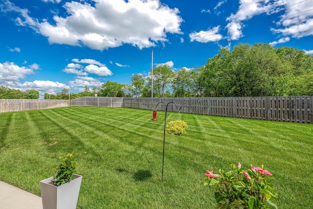 4786 E Whitman Rd, Springfield, MO 65802 - view of yard