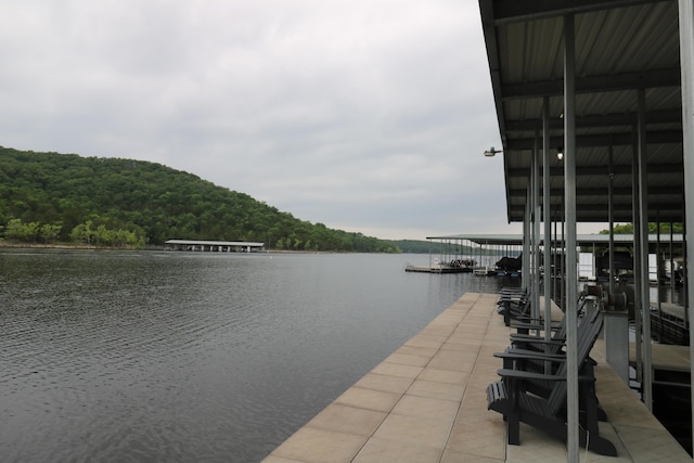 123 Joseph Cove Dr, Lampe, MO 65681
